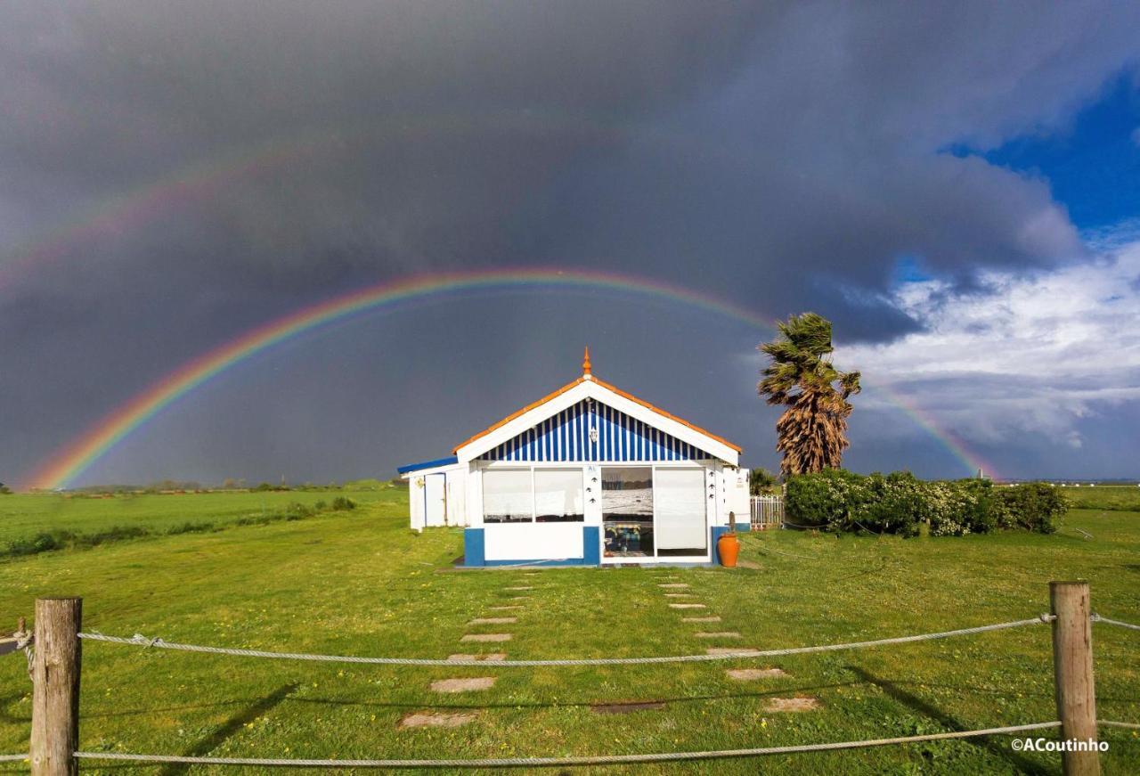 Casa Dos Flamingos Villa Murtosa Екстериор снимка